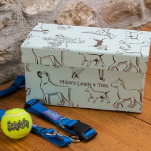 Pet Accessory Box - Dogs Aqua